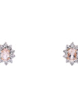 10K TT Morganite Halo Studs
