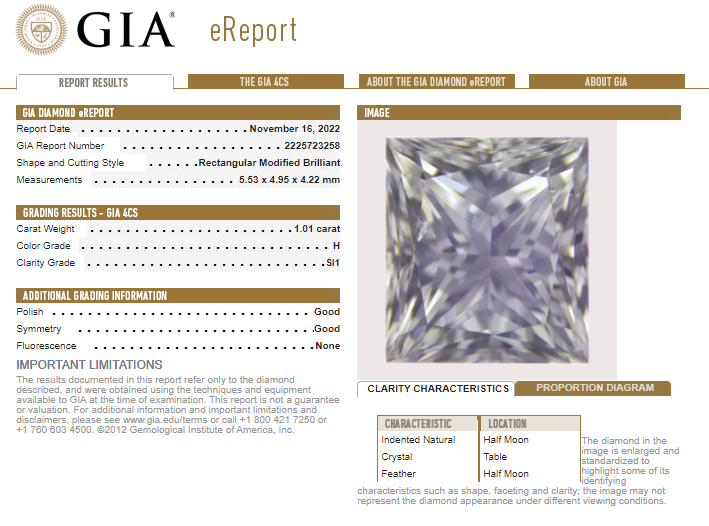 PT900 1.01 CT Princess Cut Center Engagement Ring<p><strong>GIA Available</p></strong>
