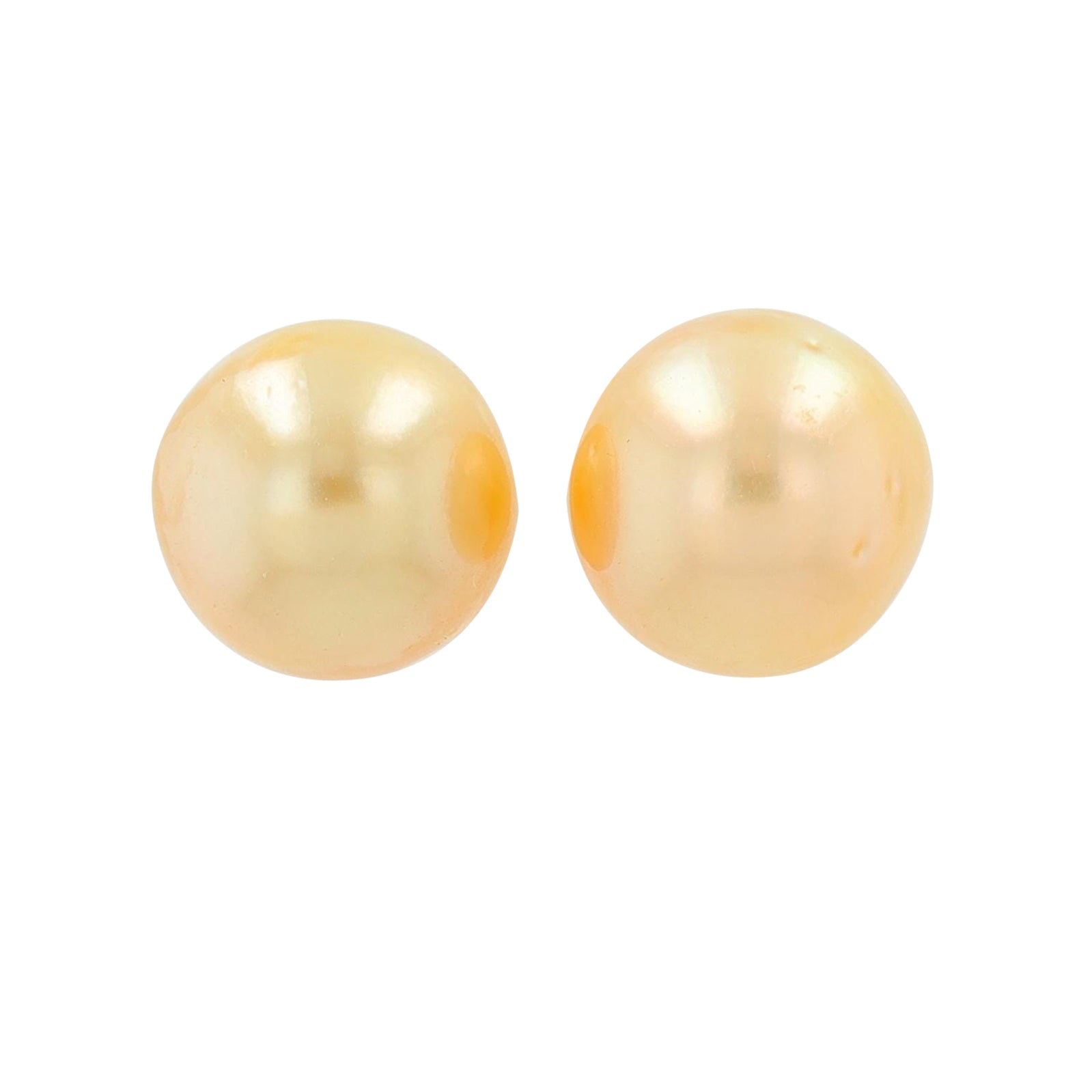 18K YG Golden South Sea Pearl Earrings