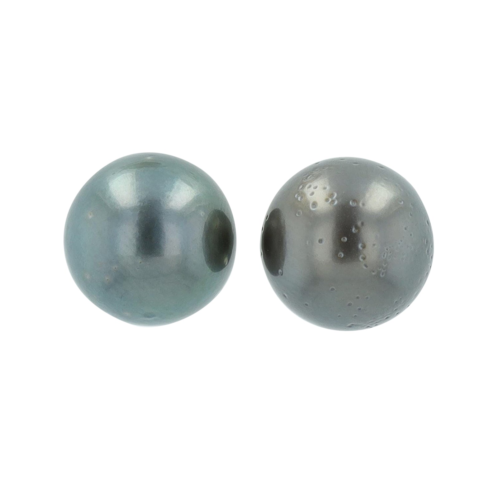 14K WG 11 MM Pearl Studs